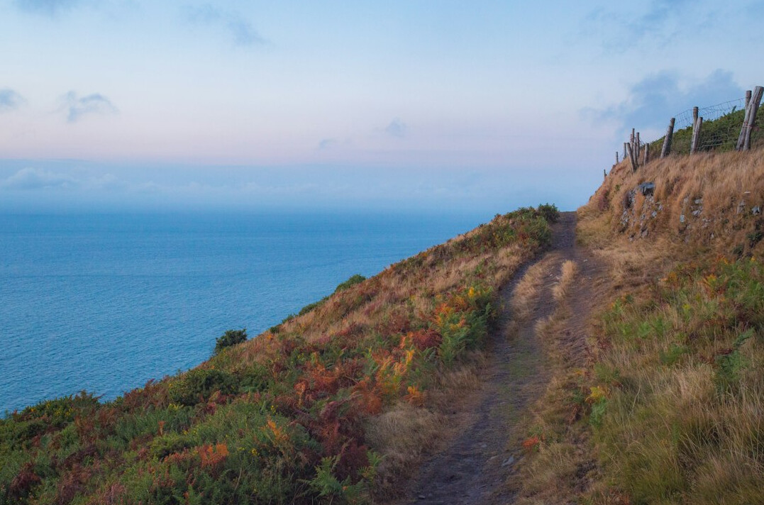 foggy coastal path at dusk